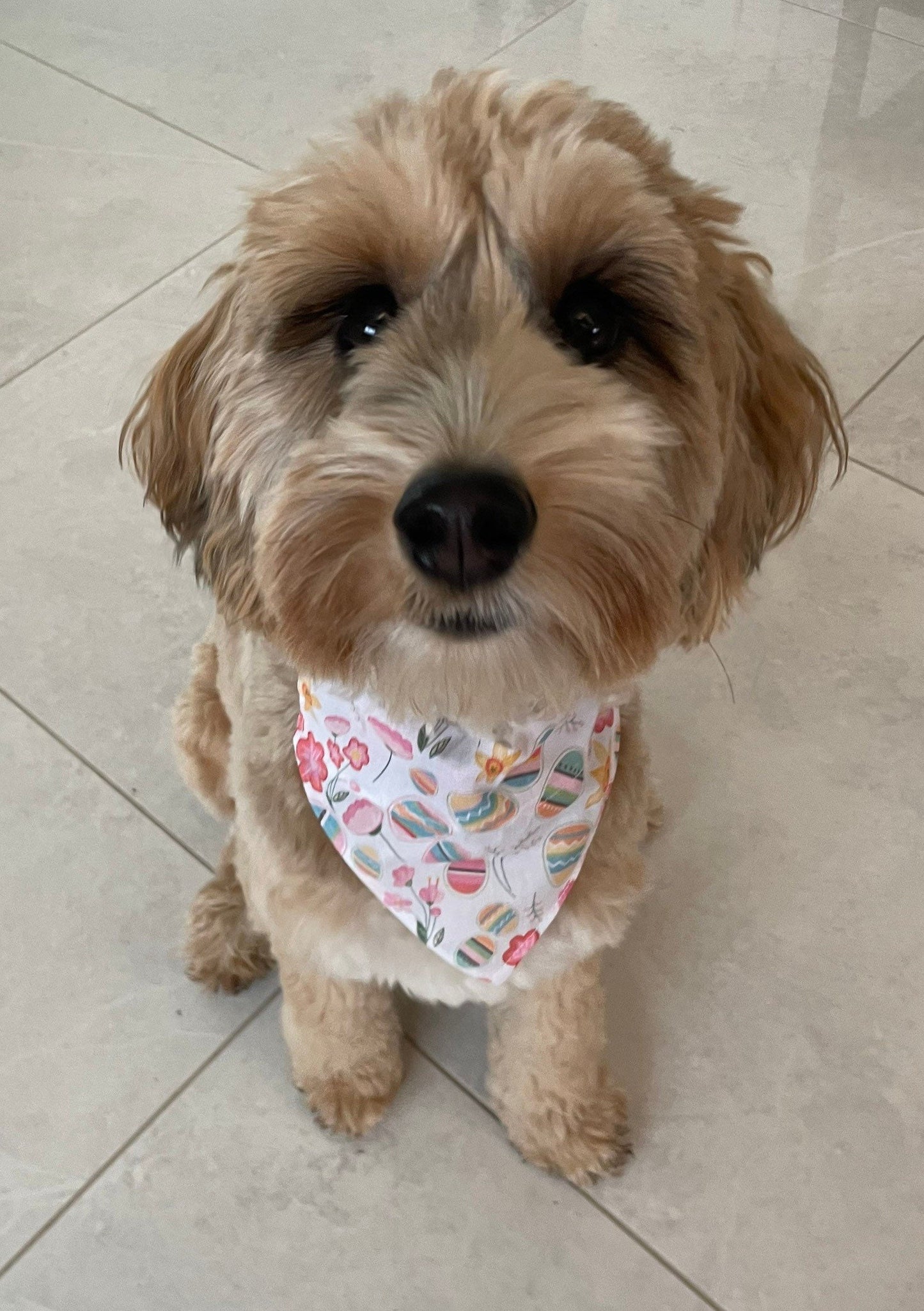 Personalised Easter and Spring Dog Bandana