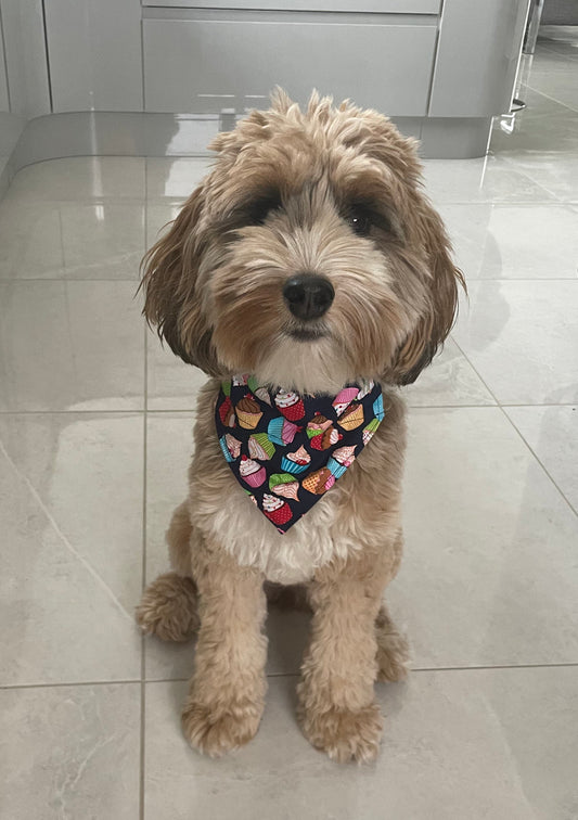 Birthday Cupcake Dog Bandana