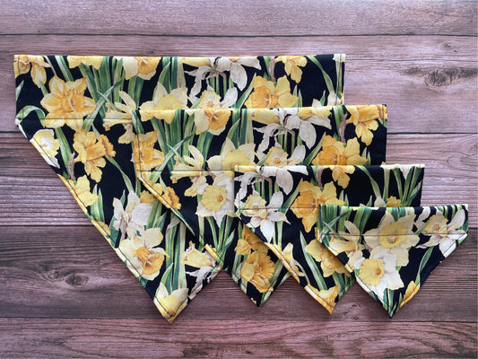 Summer Daffodil Floral Dog Bandana
