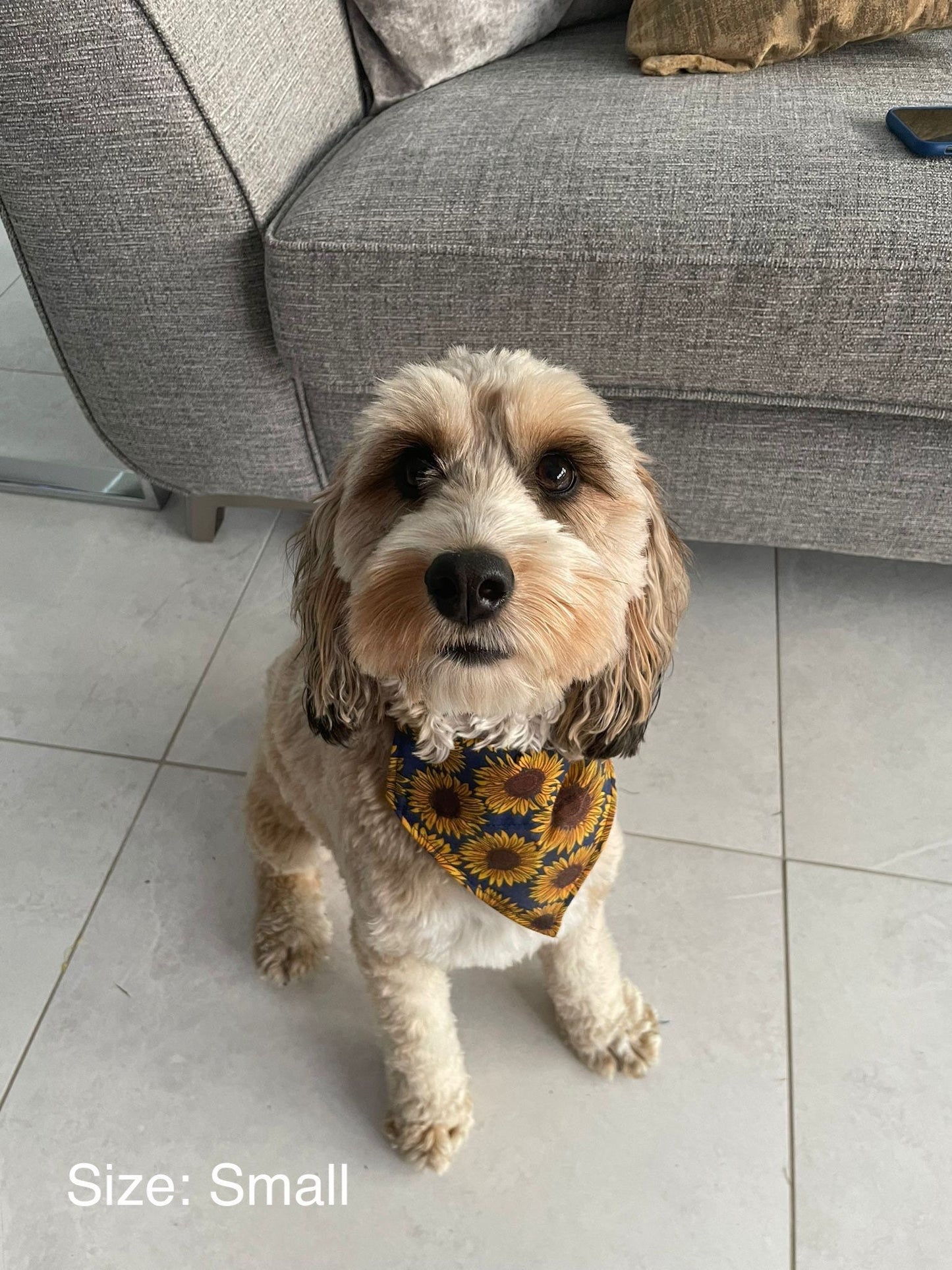 Summer Sunflower Navy Dog Bandana